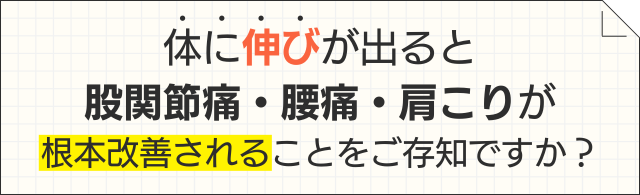 体に伸びが出ると肩こり・腰痛・股関節痛が改善されることを、ご存知ですか?