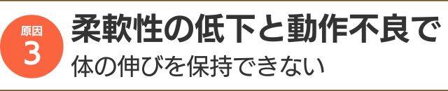 柔軟性の低下と動作不良で体の伸びを保持できない