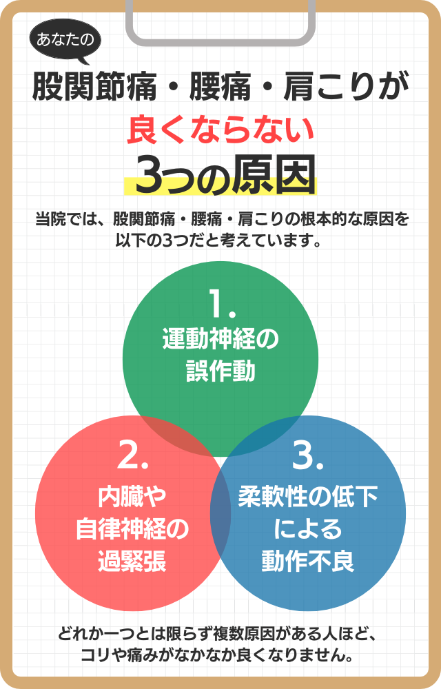 あなたの股関節痛・腰痛・肩こりが良くならない3つの原因