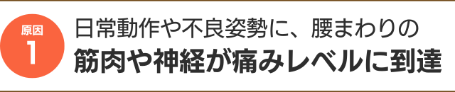 日常動作や不良姿勢に、腰まわりの 筋肉や神経が痛みレベルに到達
